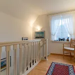 Haus-sturmschwalbe Feriehus *
