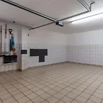 Haus-sturmschwalbe * Böhl