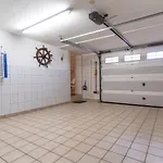 Haus-sturmschwalbe