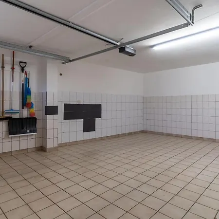 Haus-sturmschwalbe * Böhl