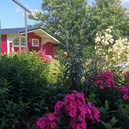 Haus-sturmschwalbe *