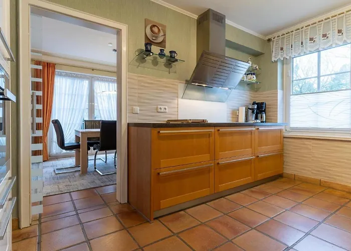 Haus-sturmschwalbe * Sankt Peter-Ording