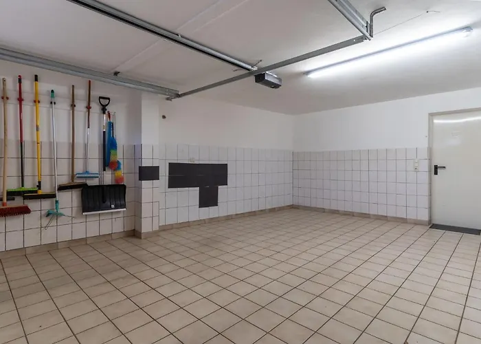 Haus-sturmschwalbe * Sankt Peter-Ording