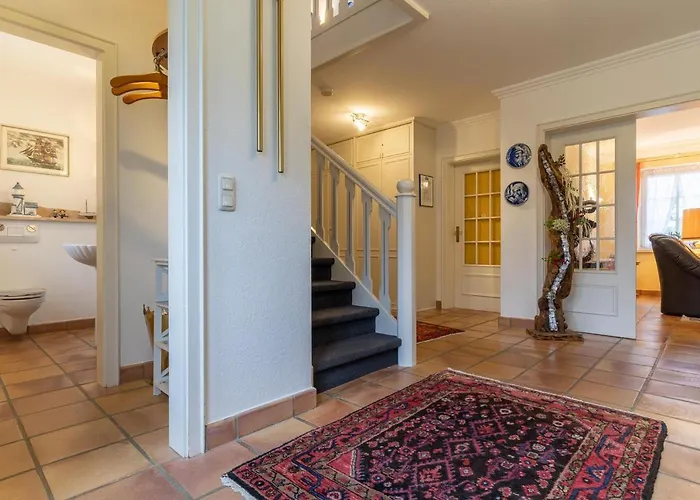 Haus-sturmschwalbe *