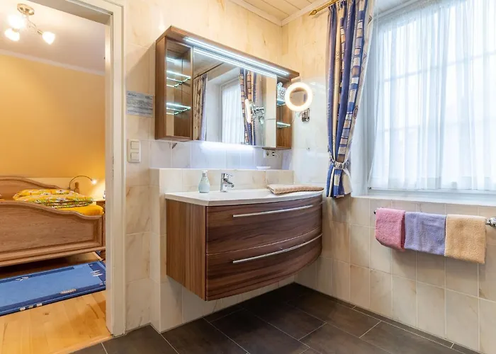 Haus-sturmschwalbe *