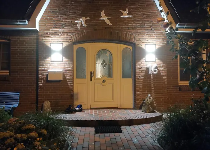 Haus-sturmschwalbe *