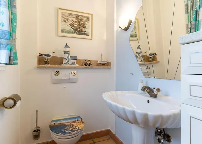 Haus-sturmschwalbe *