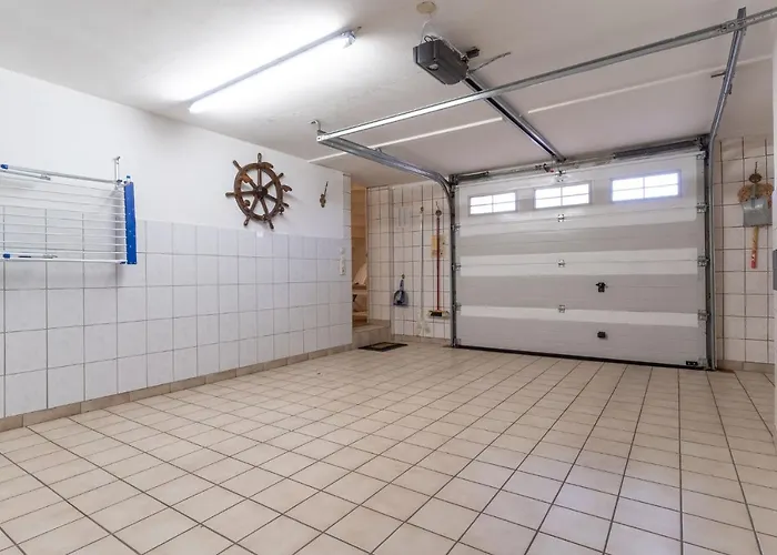 Haus-sturmschwalbe