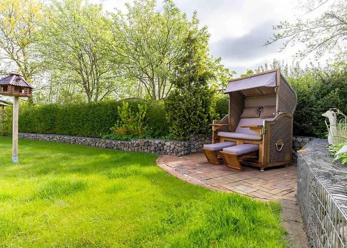 Haus-sturmschwalbe *